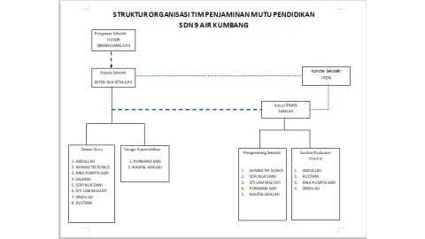 Setruktur Organisasi